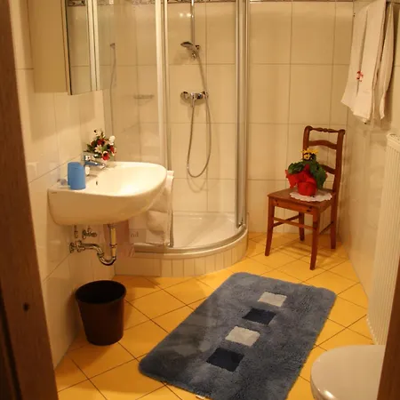 酒店 泽恩霍夫酒店 3*